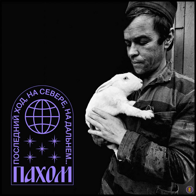 Последний ход, на Севере, на дальнем... cover art