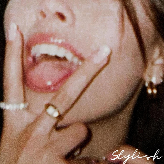 Stylish cover art
