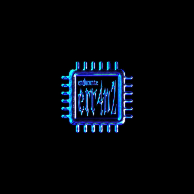 endurance cover art