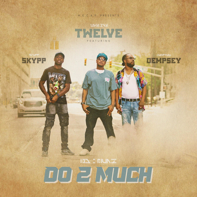 Do 2 Much cover art