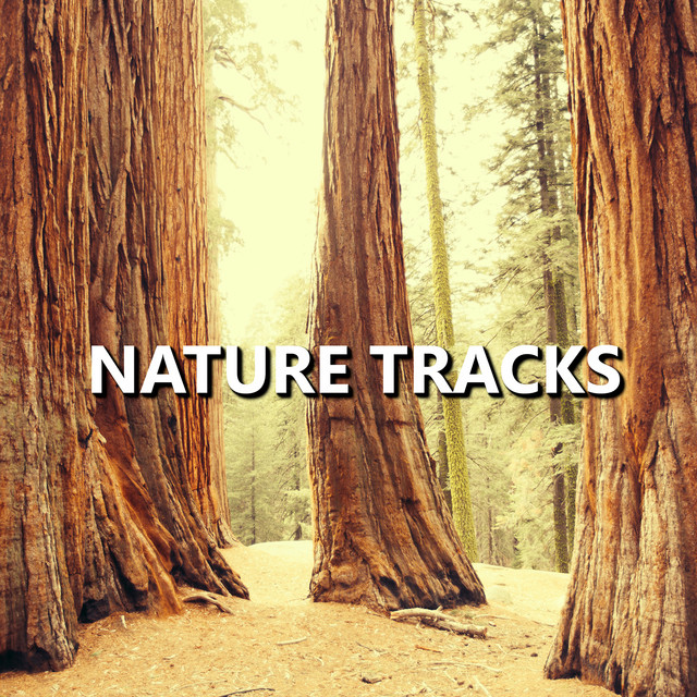 Nature Tracks cover art