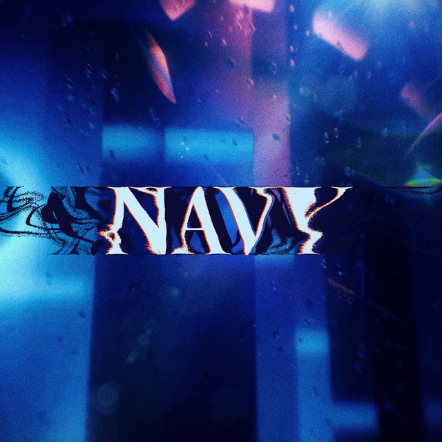 NAVY cover art