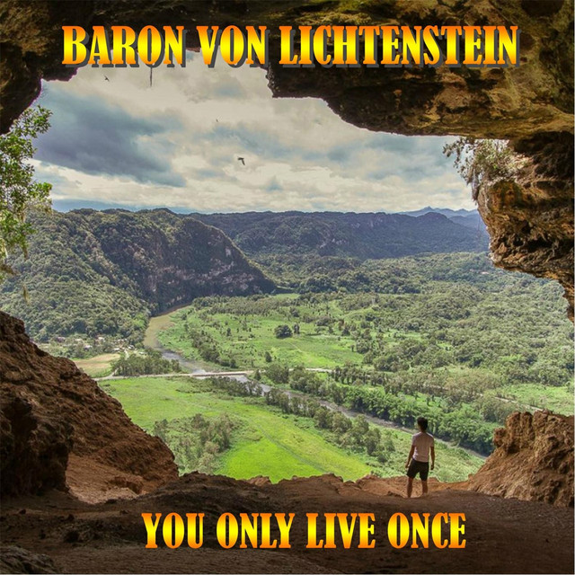 You Only Live Once cover art