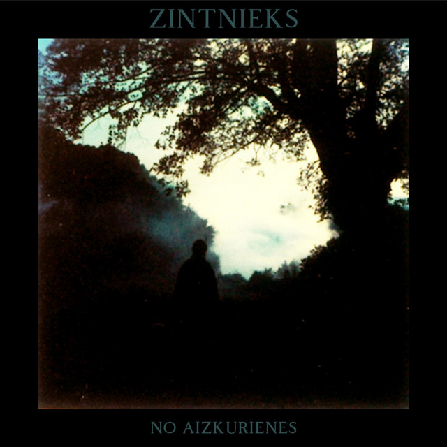 No aizkurienes cover art