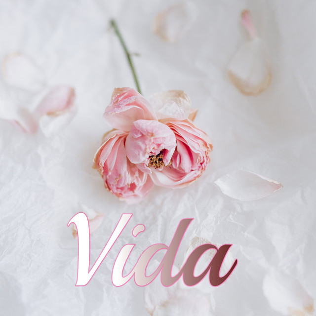 Vida cover art