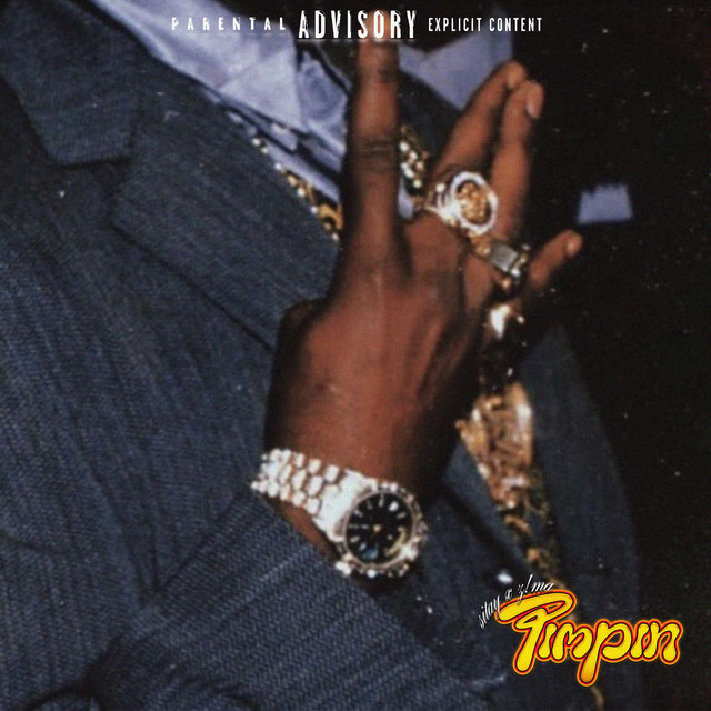 pimpin album image