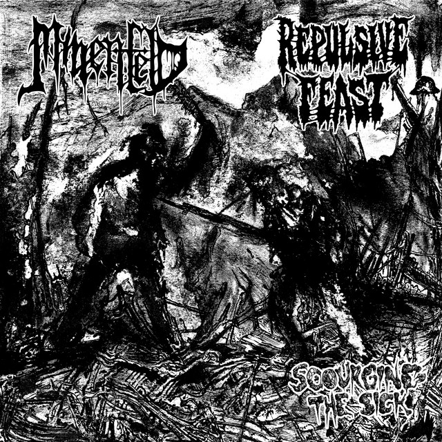 Scourging The Sick cover