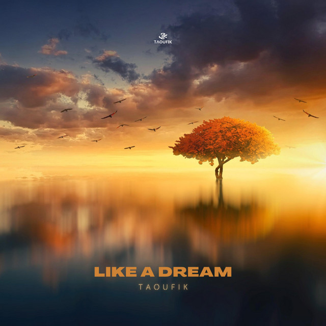 Like A Dream