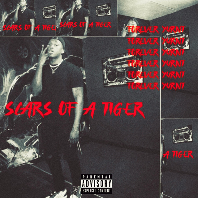Scars of a Tiger cover art