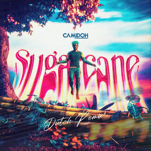 Sugarcane - Dutch Remix cover art