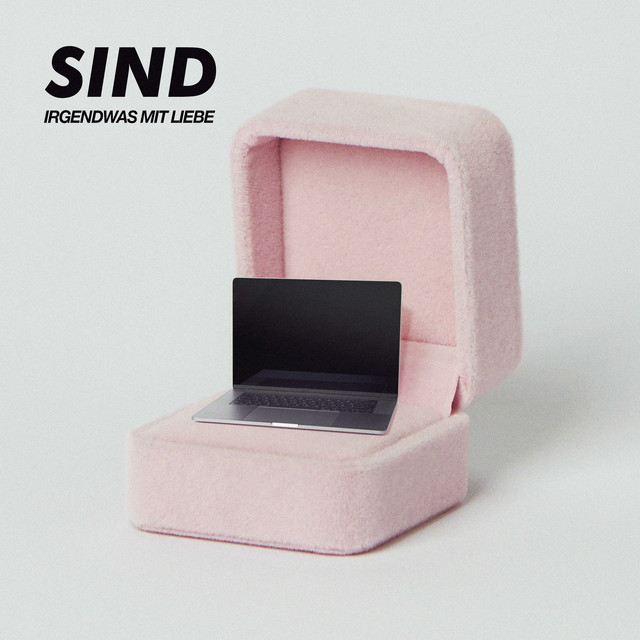 Irgendwas mit Liebe cover art
