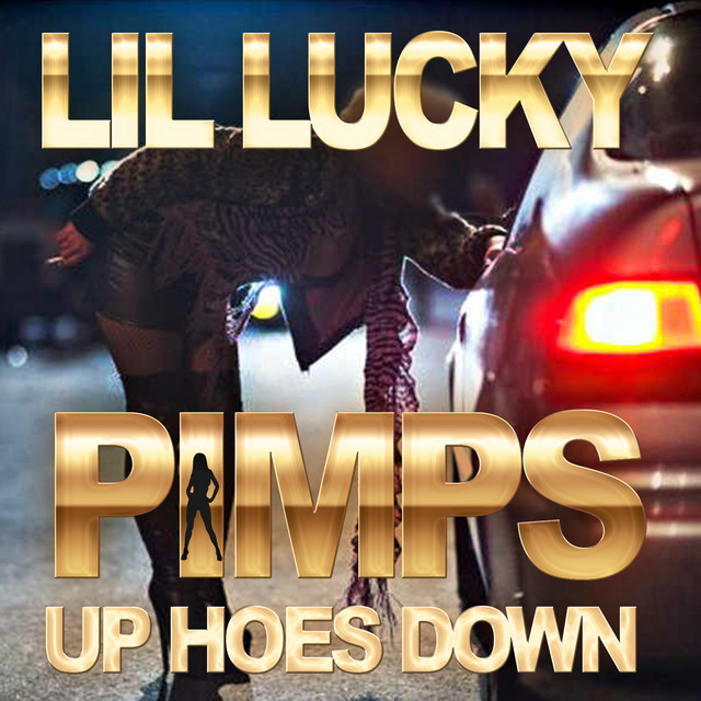 Pimps Up Hoes Down cover art