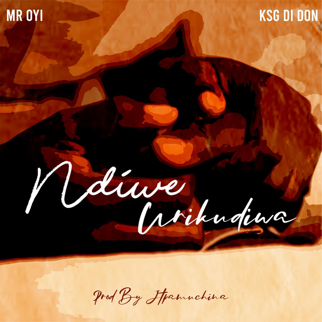 Ndiwe Urikudiwa