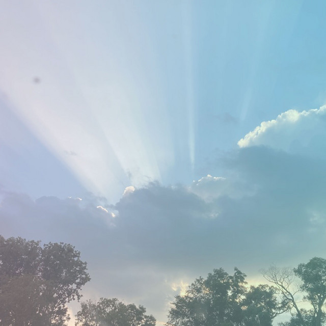 Rising cover art