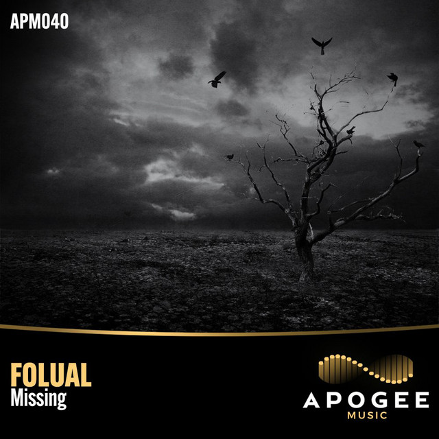 Missing - Techno Mix Edit cover art