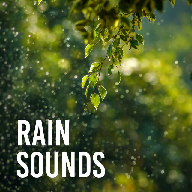 Rain Sounds cover art