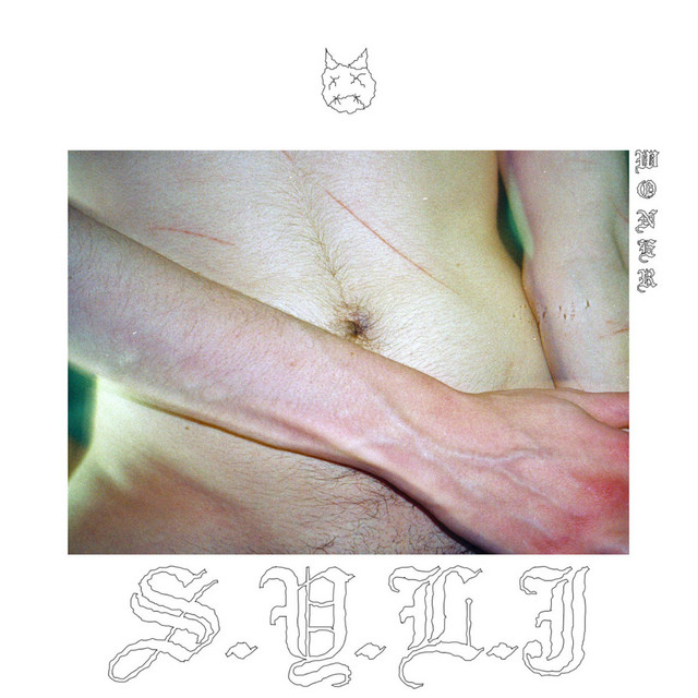Support Your Local Junkie cover art