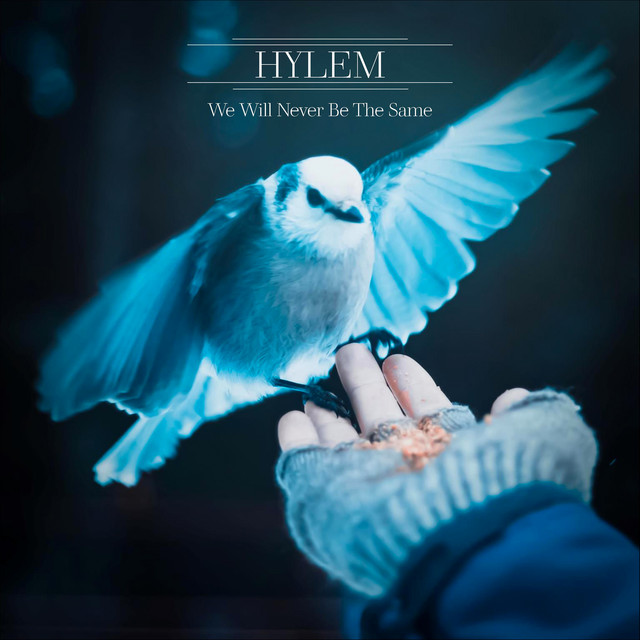 We Will Never Be The Same cover art