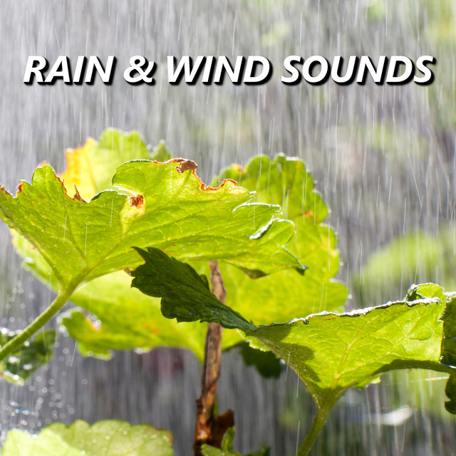 Rainy Sounds