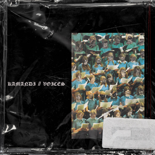 Voices cover art