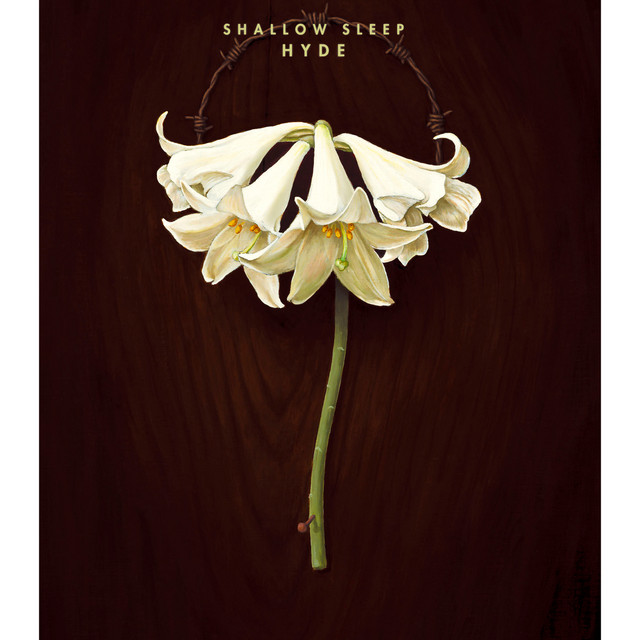 HYDE プロモーション用CD SHALLOW SLEEP Amazon.co.jp: SHALLOW SLEEP: ミュージック