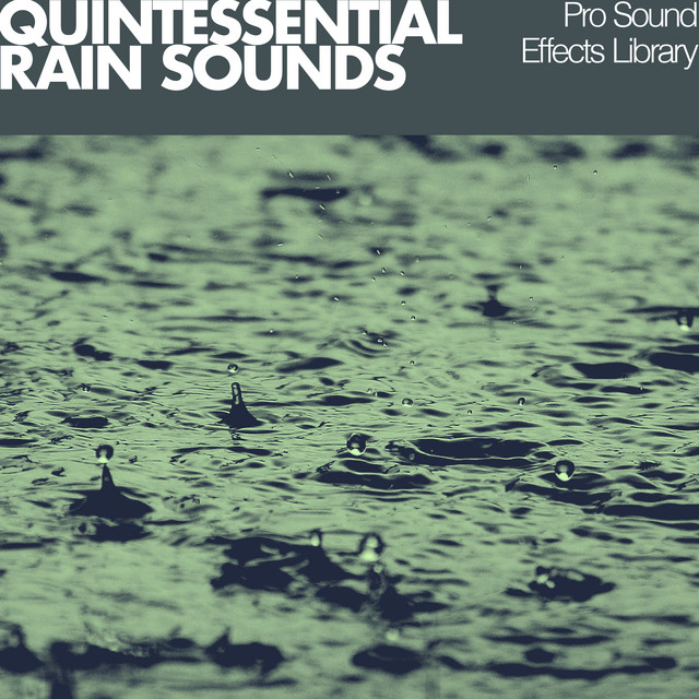 Quintessential Rain Sounds - Album by Pro Sound Effects Library | Spotify