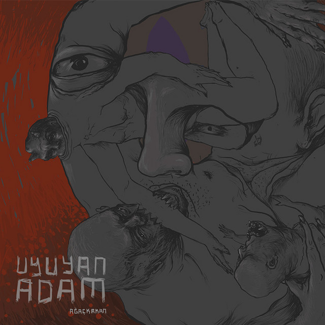 Uyuyan Adam cover art
