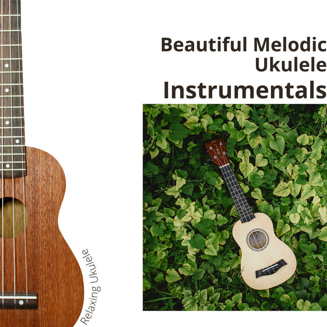 Beautiful Melodic Ukulele Instrumentals - Album by Relaxing Ukulele ...