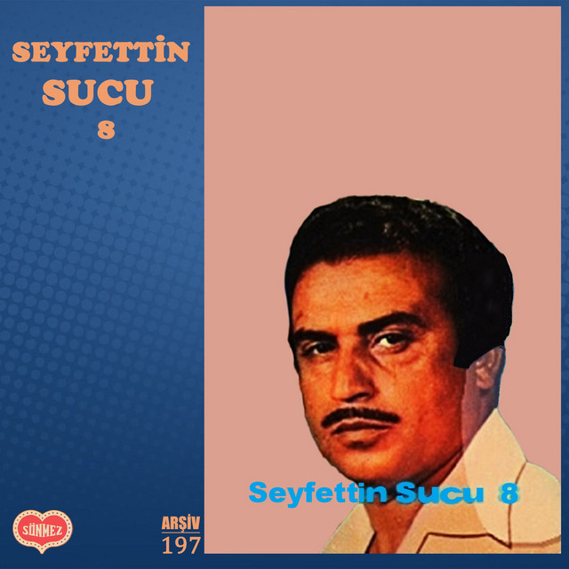 SEYFETTİN SUCU 8 cover art