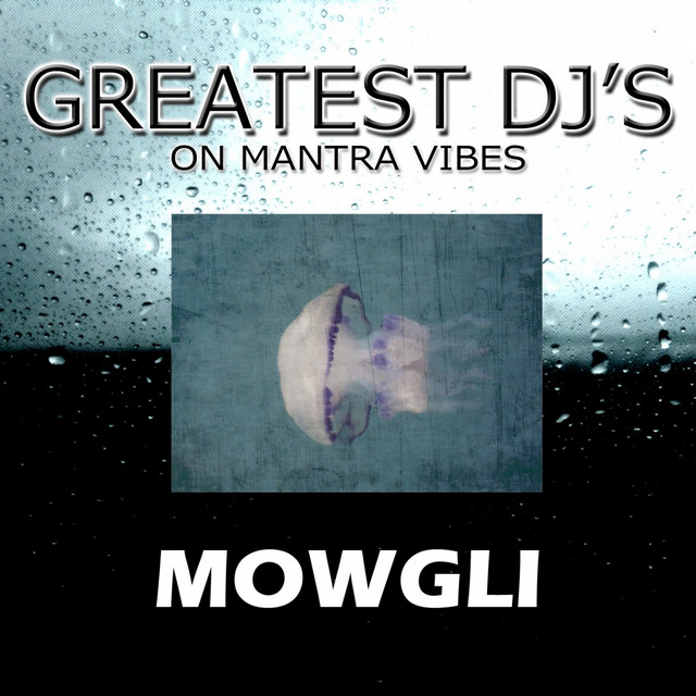 Party Bobba - Mowgli Remix
