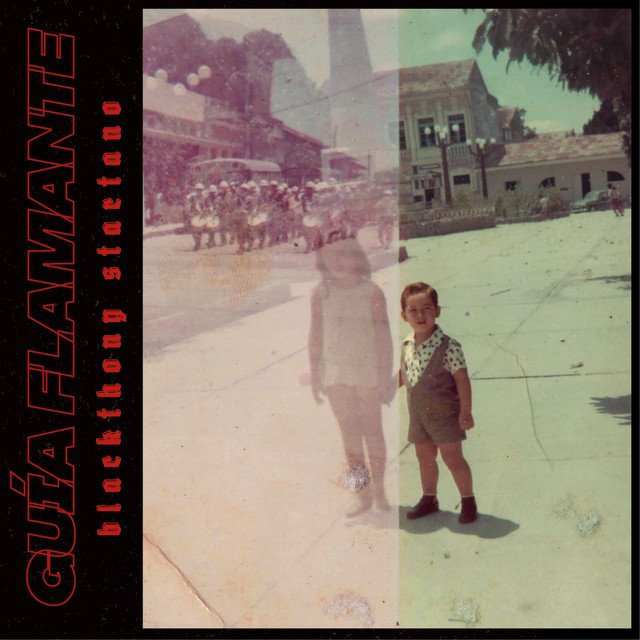 Guía Flamante cover art