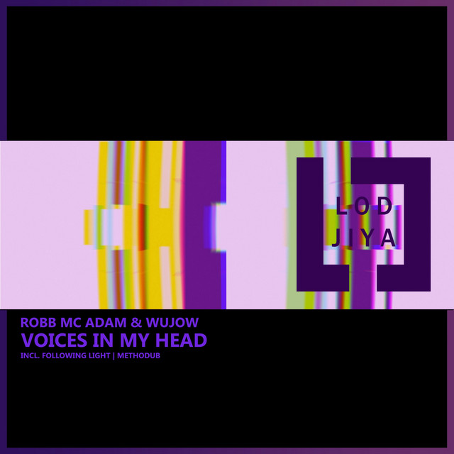 Обкладинка Following Light — Voices in My Head