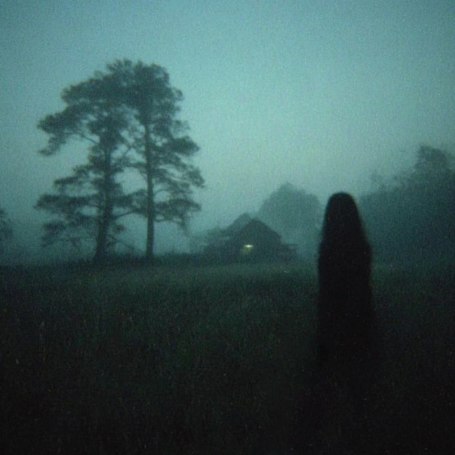 the stranger
