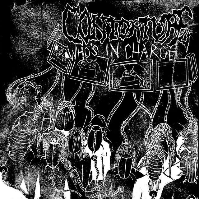 Who's In Charge cover