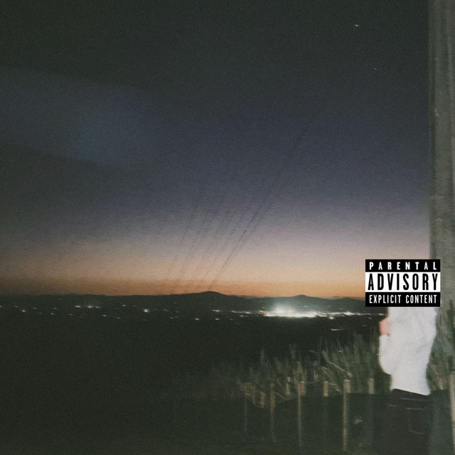 BLUSH BEFORE FLUSH cover art