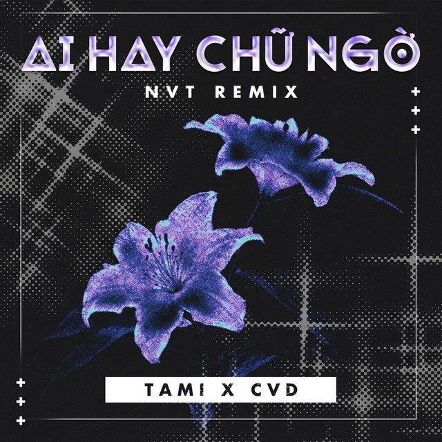 Ai Hay Chữ Ngờ (Remix)