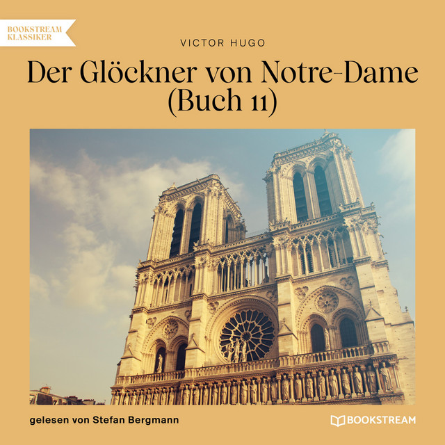 Kapitel 2 - Der Glöckner von Notre-Dame, Buch 11 cover art