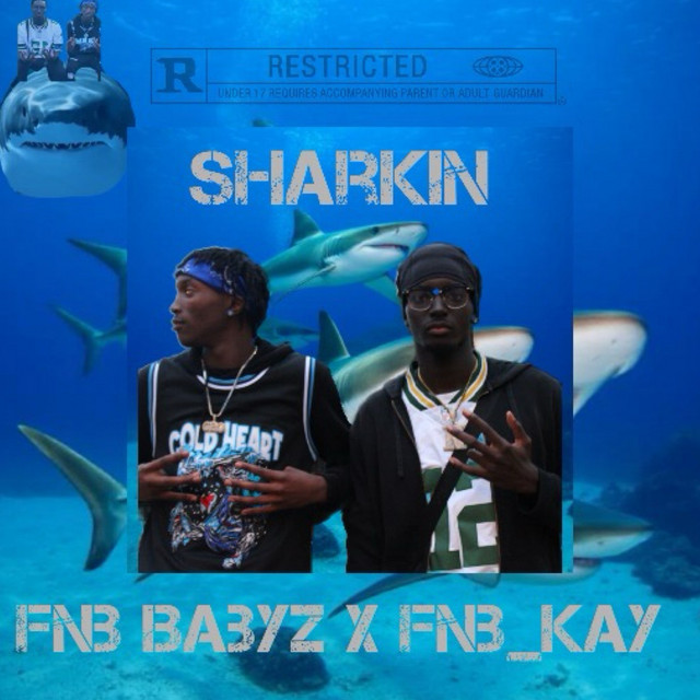 Sharkin