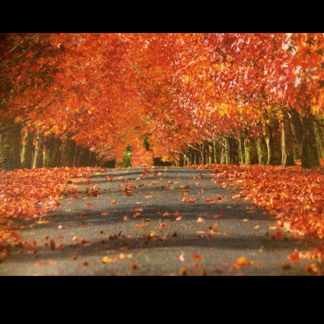 Christmas - Instrumental version