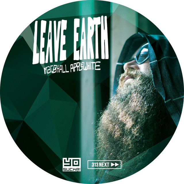 Leave Earth LP cover