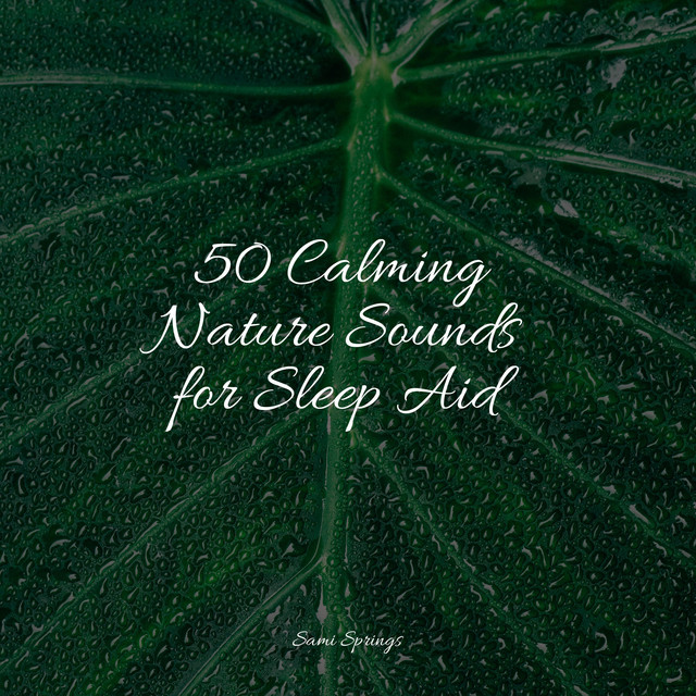 50 Calming Nature Sounds for Sleep Aid - Album by Tonal Meditation ...