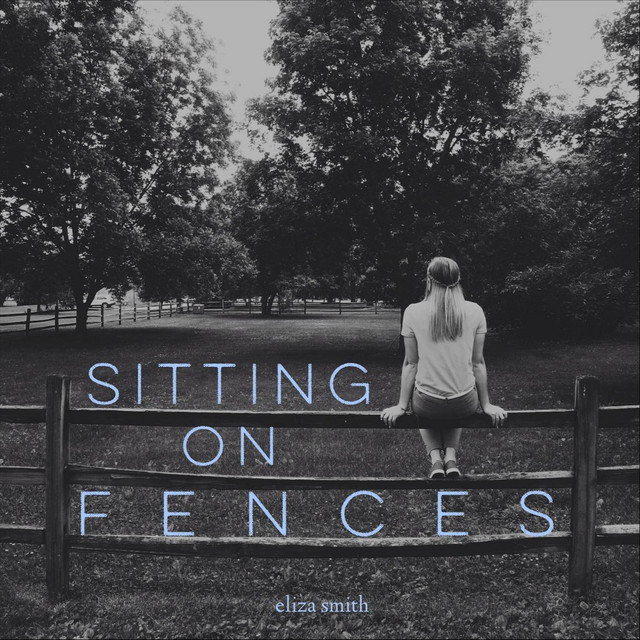Sitting on Fences cover