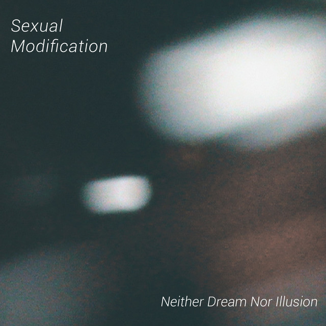 Neither Dream nor Illusion cover art