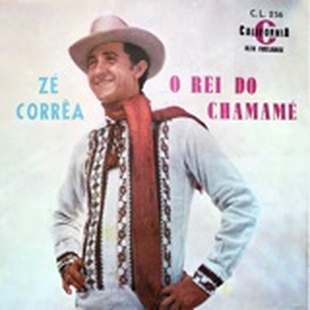 O Rei do Chamamé cover art