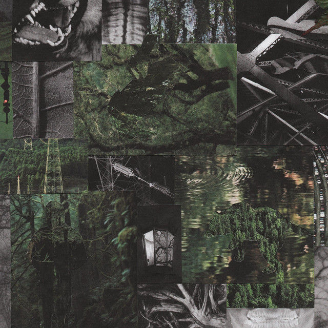 vignetting cover art