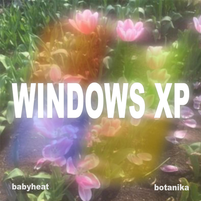 WINDOWS XP