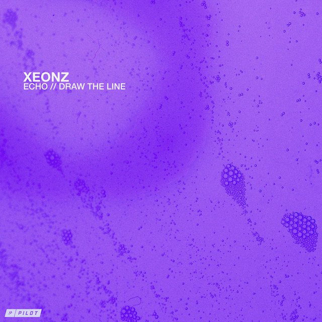 Echo / Draw The Line cover art