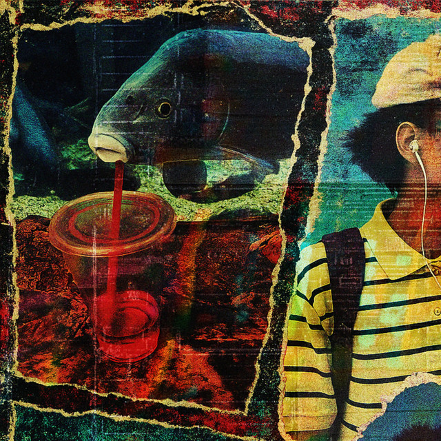 FISH (Fame Isn't Something Holy) cover art