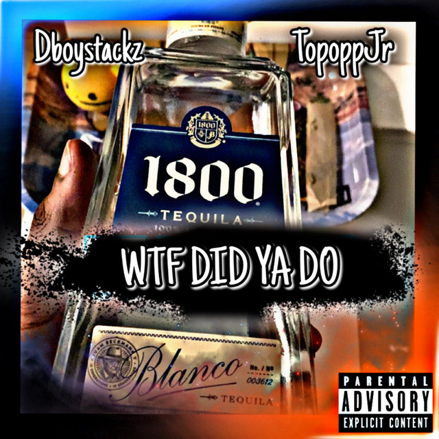 WTF DID YA DO cover art