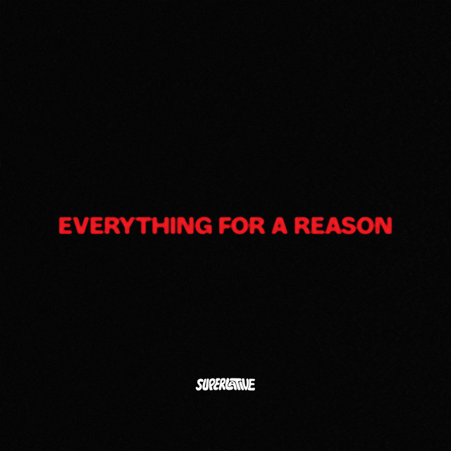 Everything for a Reason cover art
